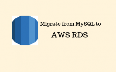 Migrate an existing database on MySQL / MariaDB to an already running RDS Instance on the AWS